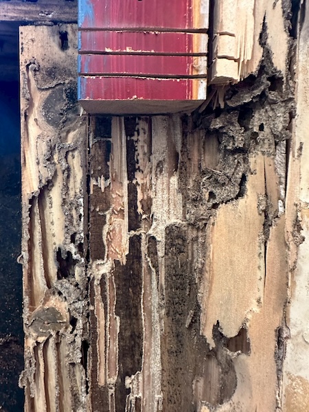 腐食した構造材