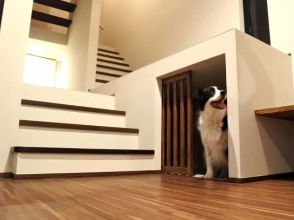 愛犬と暮らす注文住宅|滑らない床と間取りで叶える安心の家づくり